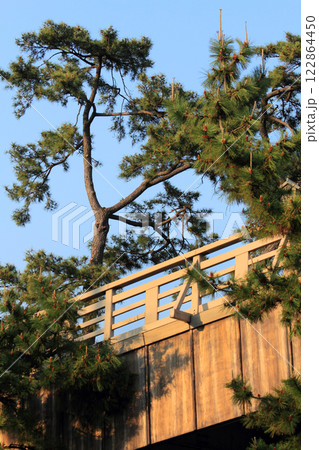 草加松原遊歩道にある矢立橋 122864450