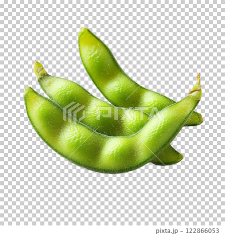 新鮮的毛豆 122866053