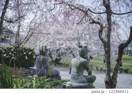 満開の桜とお地蔵さん 122866811