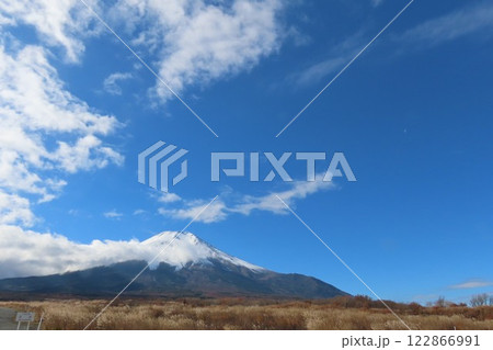 この草原で見る富士山は別格 122866991