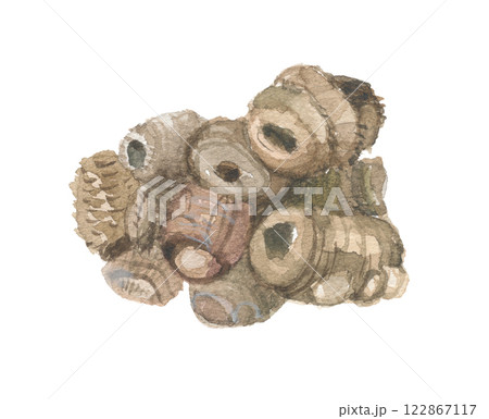 水彩で描いた川芎　センキュウの根 122867117