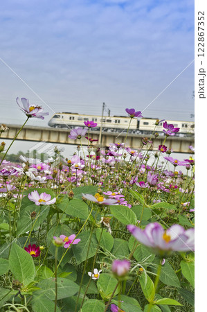 橋 ブリッジ 橋梁 122867352