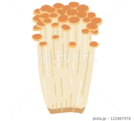 茶えのきのイラスト 茶えのきのイラスト 122867478