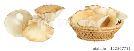fresh milk cap boletus mushroom in a wicker basket isolated on white background. Top view. Flat lay fresh milk cap boletus mushroom in a wicker basket isolated on white background. Top view. Flat lay 122867751
