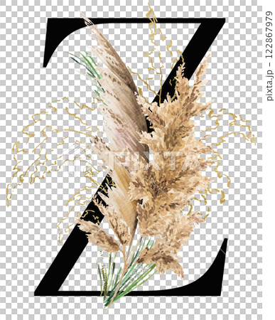 Black letter Z with watercolor biege and golden dried pampas grass, tropical wedding illustration 122867979
