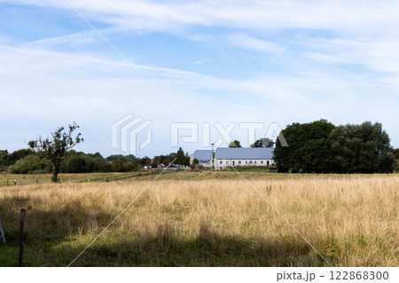Country road among fields and forests. Rural landscape 122868300