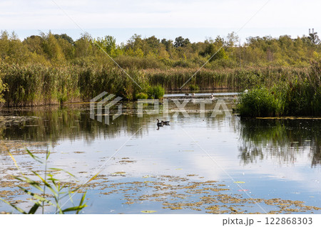 Beautiful landscape with lake in forest on autumn day 122868303