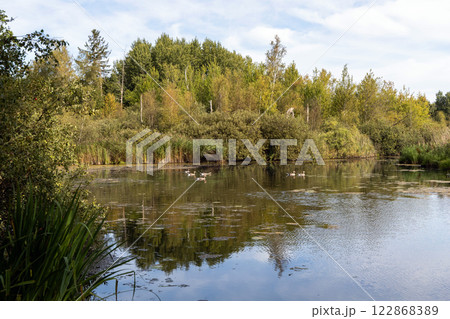 Beautiful landscape with lake in forest on autumn day 122868389