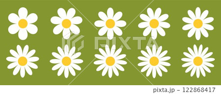 White Daisy Chamomile on green background, floral illustration with Chamomile flowers of different petal counts 6 to 15. Summer nature design for textiles, prints White Daisy Chamomile on green background, floral illustration with Chamomile flowers of different petal counts 6 to 15. Summer nature design for textiles, prints 122868417