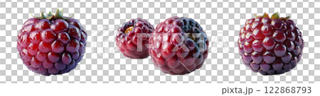Three ripe black raspberries, showing their...のイラスト素材 [122868793] - PIXTA