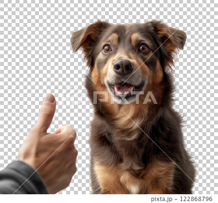 A dog looks at a "thumbs up" hand gesture, isolated on a transparent background. 122868796