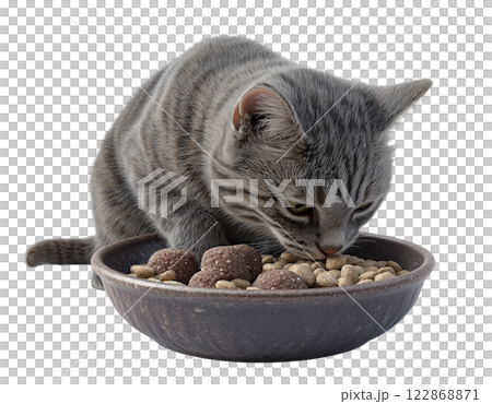 A gray tabby cat is eating from a bowl of dry and wet cat food, isolated on a transparent background. 122868871
