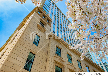 東京 千代田区 神田錦町 テラススクエア前の桜 東京 千代田区 神田錦町 テラススクエア前の桜 122869266