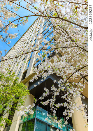 東京　千代田区 神田錦町　テラススクエア前の桜 122869287