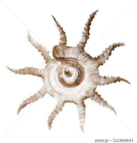 Watercolor illustration seashell on isolated background. Hand drawn element underwater conch for sticker. Drawing of Sea Shell for nursery wall art. Shell for hildish greeting cards or invitations. Watercolor illustration seashell on isolated background. Hand drawn element underwater conch for sticker. Drawing of Sea Shell for nursery wall art. Shell for hildish greeting cards or invitations. 122869641