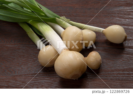 スプラウト野菜の発芽大蒜 122869726