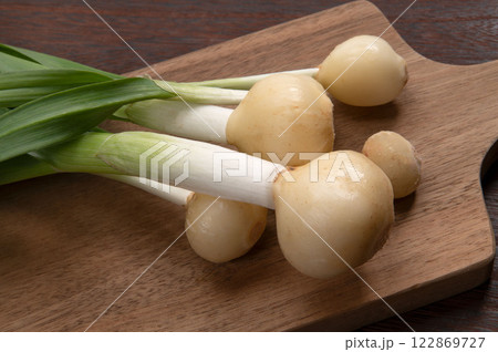 スプラウト野菜の発芽大蒜 スプラウト野菜の発芽大蒜 122869727