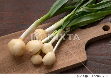 スプラウト野菜の発芽大蒜 122869728