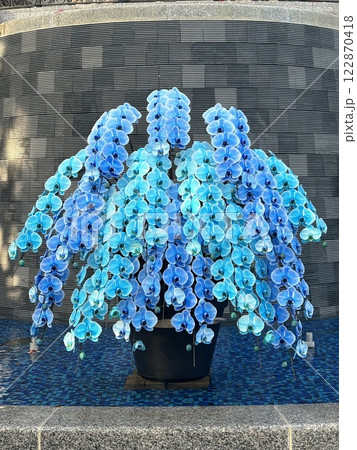 優雅なる青の舞 122870418