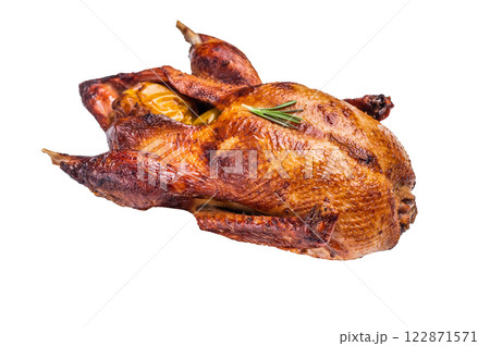Roasted whole goose on steel tray isolated on white background. top view 122871571