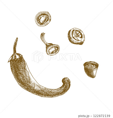 Ink chili pepper hand drawn vector illustration. Hand drawn spicy vegetable clipart, black and white hot chili for product packing, menu, label, logo design Ink chili pepper hand drawn vector illustration. Hand drawn spicy vegetable clipart, black and white hot chili for product packing, menu, label, logo design 122872139