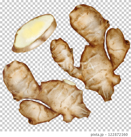 Ginger root set Watercolor. Hand drawn realistic hot spice. Clip art botanical illustration. Ideal for spice logo, cookbooks and natural cosmetics 122872160