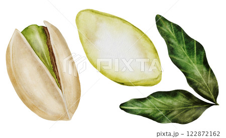 Pistachio watercolor set. Hand drawn bundle nut with shell and leaves isolated on white background. Realistic snack clip art. Ideal for logo, product packaging, banner Pistachio watercolor set. Hand drawn bundle nut with shell and leaves isolated on white background. Realistic snack clip art. Ideal for logo, product packaging, banner 122872162