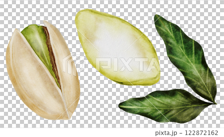 Pistachio watercolor set. Hand drawn bundle nut with shell and leaves isolated on white background. Realistic snack clip art. Ideal for logo, product packaging, banner Pistachio watercolor set. Hand drawn bundle nut with shell and leaves isolated on white background. Realistic snack clip art. Ideal for logo, product packaging, banner 122872162