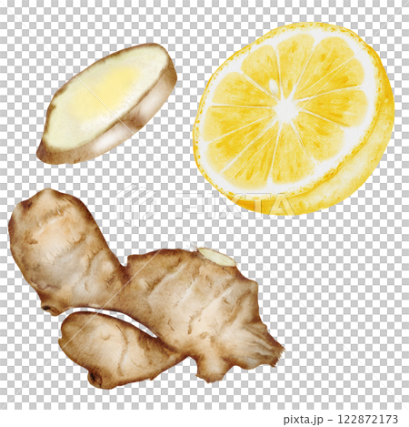 Lemon and ginger watercolor set. Hand drawn citrus and hot root on isolated white background. Clip art fruits and spices for hot drinks. Ideal for natural tea design and nutritionist blogs design Lemon and ginger watercolor set. Hand drawn citrus and hot root on isolated white background. Clip art fruits and spices for hot drinks. Ideal for natural tea design and nutritionist blogs design 122872173