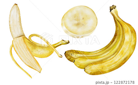 Banana watercolor set. Hand drawn ripe tropical fruit. Clip art isolated on white background realistic exotic plant. Ideal for designing menus, price tags, labels and packaging of natural cosmetics 122872178