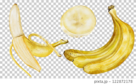Banana watercolor set. Hand drawn ripe tropical fruit. Clip art isolated on white background realistic exotic plant. Ideal for designing menus, price tags, labels and packaging of natural cosmetics 122872178