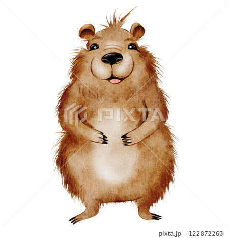 Capybara cute watercolor. Funny animal hand drawing on isolated white background. Clip art of a friendly guinea pig. Ideal for stickers, posters and cards 122872263