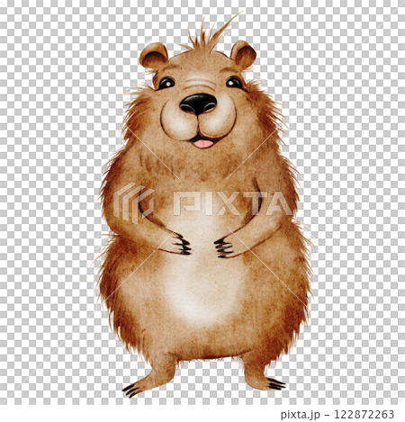 Capybara cute watercolor. Funny animal hand drawing on isolated white background. Clip art of a friendly guinea pig. Ideal for stickers, posters and cards 122872263
