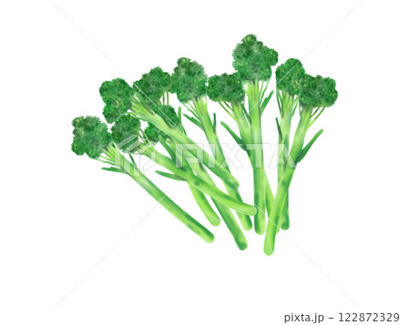 スティックセニョールの手描きイラスト スティックセニョールの手描きイラスト 122872329