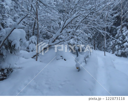 厳冬期の八ヶ岳(美濃戸口から行者小屋へ向かう登山道) 122873118