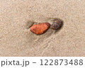 Pebble stones in fine sea sand 122873488
