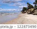 Baltic Sea coast and wild beach next to moving dunes in the Slovincian National Park 122873490