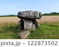 Dolmen of Menez Lie, historical monument of France 122873502