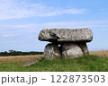 Dolmen of Menez Lie, historical monument of France 122873503