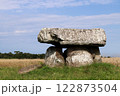 Dolmen of Menez Lie, historical monument of France 122873504
