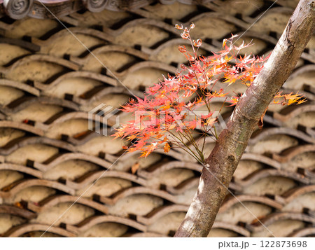 瓦塀と鮮やかに色づいた紅葉 122873698