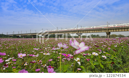 橋 ブリッジ 橋梁 122874534