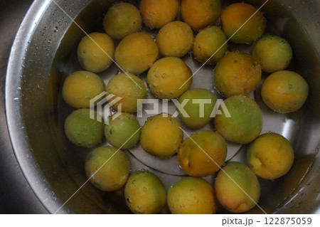 Pickled plum making process 4: plums in a basin with water Pickled plum making process 4: plums in a basin with water 122875059