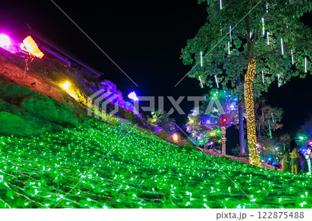 illumination Flashing lights decorate the tree and neon butterfly blinking light illumination Flashing lights decorate the tree and neon butterfly blinking light 122875488