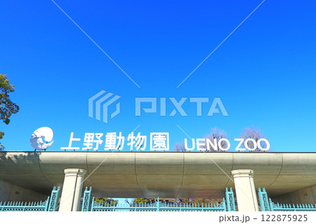東京都台東区、上野動物園の風景 122875925