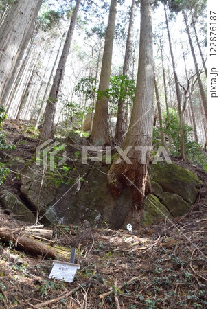 竪破山 竪破山 122876187