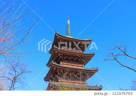 東京都台東区、旧寛永寺五重塔の風景 東京都台東区、旧寛永寺五重塔の風景 122876703