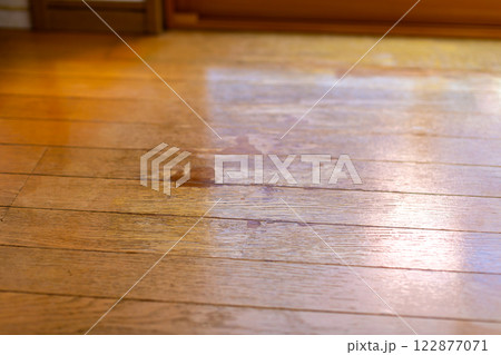 床のワックス塗布 リペア 床のワックス塗布 リペア 122877071