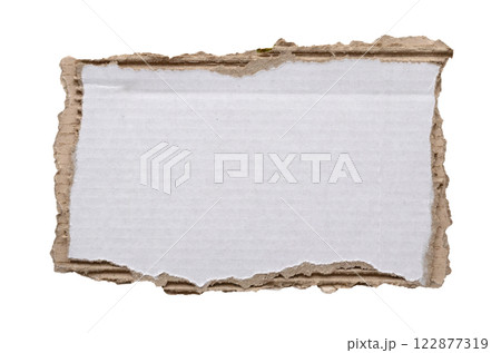 piece of white paper tear isolated on white background 122877319