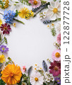 春の花のフレーム　カード 122877728